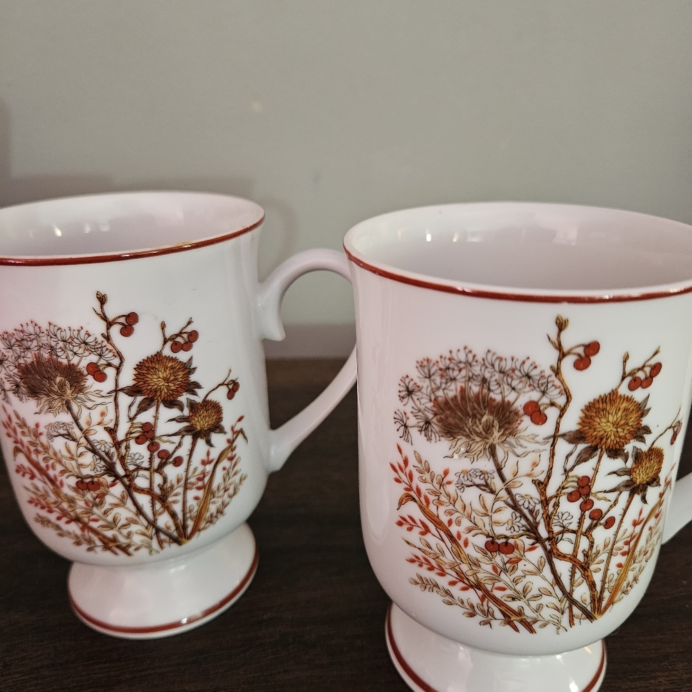 Beautiful Vintage 1970's Bramble Fancy Florals Footed Coffee Mugs Fine China